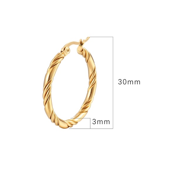 Stainless Steel 18K Gold Plating Hoop Earrings - Picture 2 of 3